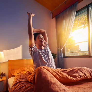 Utilité du sommeil